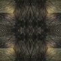 kaleidoscope 2.6