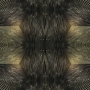 kaleidoscope 2.8